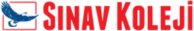 Sınav Koleji / Sınav Eğitim Kurumları logosu